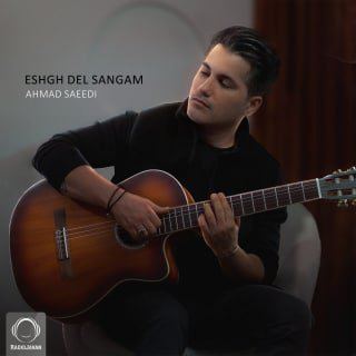کاور آهنگ عشق دل سنگم