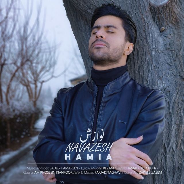 کاور آهنگ نوازش