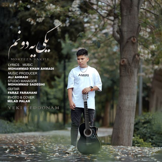 کاور آهنگ یکی یه‌دونم